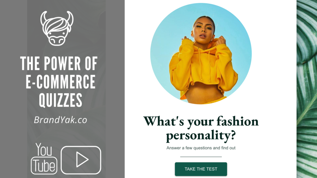 The Power of an E-commerce Quiz